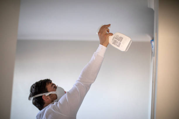 Best Mold Remediation Experts  in Sudley, VA