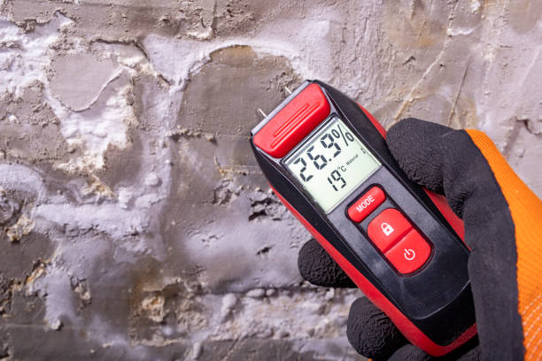 Office Mold Removal Services in Sudley, VA