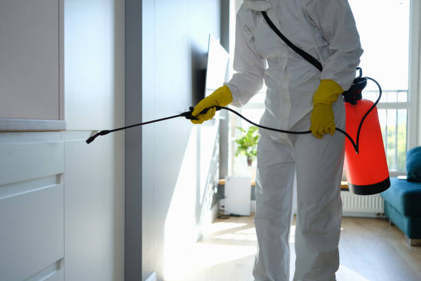 Water Damage Restoration in Sudley, VA