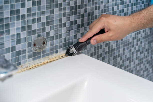Best Emergency Mold Removal  in Sudley, VA