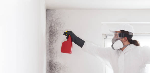 Best Mold Removal Process  in Sudley, VA