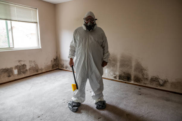 Crawl Space Mold Removal in Sudley, VA